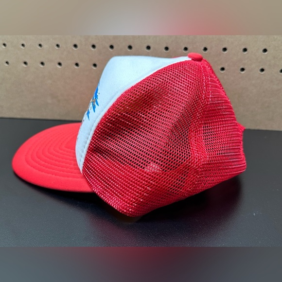 Vintage ARIZONA DESERT HAT Trucker Cap Snapback Mesh CATROON ART Funny STATE - Picture 5 of 11